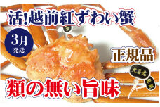 活！越前 紅ずわいがに × 1杯 旨味満点！！【紅ズワイガニ 紅ずわい蟹 かに カニ 蟹 姿 生 ボイル 冷蔵 福井県】【3月発送分】【生でお届け】希望日指定不可 [e37-x002_03a]
