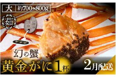 黄金ガニ（大サイズ） × 1杯 「ズワイガニと紅ズワイガニのあいのこ」幻のカニを浜茹ででお届け！【黄金がに カニ 姿 ボイル 冷蔵 福井県】【2月発送分】希望日指定可 備考欄に希望日をご記入ください [e22-x005_02]