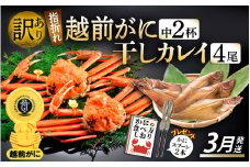 「訳あり 指折れ 越前がに（中）2杯」+ 「干しカレイ 4尾」 食べ方しおり かにスプーン付き【雄 ズワイガニ ずわいがに 越前ガニ 姿 ボイル 冷蔵 福井県】【3月発送分】希望日指定可 備考欄に希望日をご記入ください [e15-x006_03]