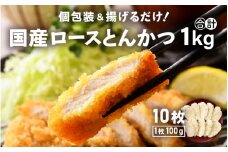 国産 豚肉 ロースとんかつ 計1kg！（100g × 10枚）地元の人気精肉店が手造り！個包装＆揚げるだけ！【福井県 とんかつ 冷凍 小分け】 [e02-a005]
