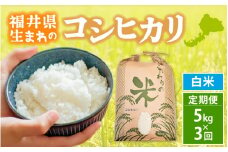 定期便≪3ヶ月連続お届け≫コシヒカリ 5kg × 3回 令和6年 福井県産【白米】【お米 こしひかり 計15キロ 人気品種】 [e30-c011]