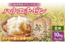 ハナエチゼン 10kg 令和6年 福井県産【玄米】【お米 はなえちぜん 華越前 10キロ】 [e30-a068]