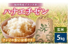 ハナエチゼン 5kg 令和6年 福井県産【玄米】【お米 はなえちぜん 華越前 5キロ】 [e30-a066]