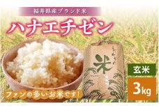 ハナエチゼン 3kg 令和6年 福井県産【玄米】【お米 はなえちぜん 華越前 3キロ】 [e30-a064]