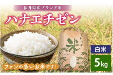 ハナエチゼン 5kg 令和6年 福井県産【白米】【お米 こめ 米 コメ 精米 はなえちぜん 華越前 5キロ】 [e30-a067]