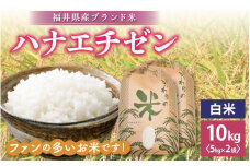 ハナエチゼン 10kg 令和6年 福井県産【白米】【お米 こめ 米 コメ 精米 はなえちぜん 華越前 10キロ】 [e30-a069]