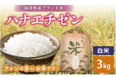 ハナエチゼン 3kg 令和6年 福井県産【白米】【お米 こめ 米 コメ 精米 はなえちぜん 華越前 3キロ 少量 お試し】 [e30-a065]