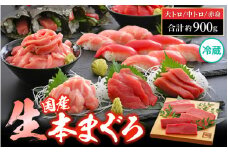 まぐろ三昧「生本まぐろ」大トロ・中トロ・赤身 各約300g（2～3柵） 合計約900g 【本まぐろ 鮪 クロマグロ ホンマグロ まぐろ 冷蔵 お取り寄せ グルメ】 [e04-e005]