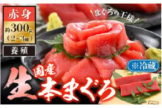 「生本まぐろ」赤身 約300g（2～3柵） まぐろの王様！！【本まぐろ 鮪 ホンマグロ まぐろ 冷蔵 お取り寄せ グルメ】 [e04-a082]