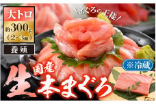 「生本まぐろ」極上霜降り 大トロ 約300g（2～3柵） まぐろの王様！！【本まぐろ 鮪 ホンマグロ 大とろ 冷蔵 お取り寄せ グルメ】 [e04-b029]