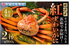 ≪浜茹で≫越前産 紅ずわいがに 約900g × 2杯 食べ方しおり付【紅ズワイガニ カニ かに 蟹 姿 ボイル 冷蔵 福井県】【4月発送分】希望日指定不可 [e14-x001_04]