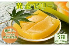 夏の水羊羹！「黄金ゼリー」 250g × 3箱（計750g）自慢の白餡と「黄金梅」ピューレのコラボ！ [e07-a015]