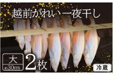 【先行予約】 越前がれい 天日干し 大2枚 越前の港から直送！旨味濃縮 一夜干し 【2025年11月中旬より順次発送】 [e23-a001]