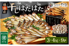 越前産 干しはたはた（3～4尾）× 9パック 越前塩のみで仕上げた一塩干し！【干物 ひもの ハタハタ 海鮮 冷凍 個包装】 [e04-a107]