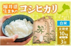 定期便≪3ヶ月連続お届け≫コシヒカリ 10kg × 3回 令和6年 福井県産【白米】【お米 こしひかり 計30キロ 人気品種】 [e30-e005]