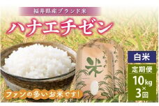 定期便≪3ヶ月連続お届け≫ハナエチゼン 10kg × 3回 令和6年 福井県産【白米】【お米 はなえちぜん 華越前 計30キロ】 [e30-e003]