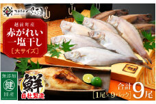 干物 セット 赤がれい 一塩干し 大サイズ （1尾 × 9パック入り）1尾約170g【福井県産 赤カレイ 小分け 個包装 詰め合わせ 保存料・着色料 無添加 おかず 惣菜 冷凍食品】 [e04-a090] 