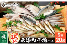 [e04-a038] 【訳あり】国産無添加！干物5種セット20尾以上【さば・ハタハタ・なめたかれい・水魚・あじ】