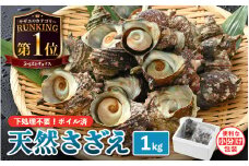 天然 さざえ ボイル済 13～15個入 1kg（500g × 2袋）産地直送でお届け！ 【越前町産 栄螺 サザエ 冷凍 小分け 海鮮 BBQ バーベキュー】 [e14-a010] 