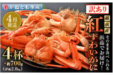 【訳あり】≪浜茹で≫越前産 紅ずわいがに 約700g × 4杯 食べ方しおり付【紅ズワイガニ カニ かに 蟹 姿 ボイル 冷蔵 福井県】【4月発送分】希望日指定不可 [e14-x002_04] 