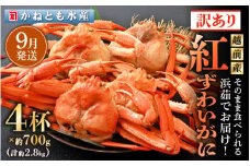 【訳あり】≪浜茹で≫越前産 紅ずわいがに 約700g × 4杯 食べ方しおり付【紅ズワイガニ カニ かに 蟹 姿 ボイル 冷蔵 福井県】【9月発送分】希望日指定不可 [e14-x002_09] 
