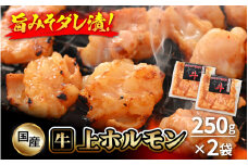 国産牛 上ホルモン 計500g（250g × 2袋）シマチョウ・ぷるぷる小腸のセット 旨みそダレ漬！【 お手軽 小分け BBQ バーベキュー 】 [e03-a016]