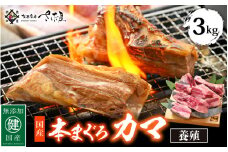 国産 本まぐろ カマ 3kg まぐろの王様！ふっくらジューシー 抜群の脂乗り 定番の塩焼きや煮つけにおすすめ！ 【 鮪 マグロ おつまみ BBQ バーベキュー グルメ お取り寄せ 冷凍 おかず 惣菜 冷凍食品】 [e04-b020]