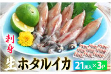【TVで紹介！】 急速冷凍 生 ホタルイカ 21尾入 × 3パック 合計約420g（刺身・しゃぶしゃぶ用）小分け ふっくらプリプリ 鮮度抜群 上品な甘みを存分にお楽しみください！【ほたるいか おつまみ 酒の肴 お取り寄せ グルメ 冷凍 宅飲み】 [e15-a014]