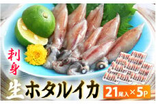 【TVで紹介！】 急速冷凍 生 ホタルイカ 21尾入 × 5パック 合計約700g（刺身・しゃぶしゃぶ用）小分け ふっくらプリプリ 鮮度抜群 全国トップクラスの漁獲量 越前町よりお届け 上品な甘みを存分にお楽しみください！【ほたるいか おつまみ 酒の肴 お取り寄せ グルメ 冷凍 宅飲み】 [e15-a015]