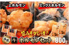 国産 牛ホルモン セット 計800g（上ホルモン・ミックスホルモン 各2袋） 旨みそダレ漬け！ 【冷凍 お手軽 小分け BBQ バーベキュー】 [e03-a018]