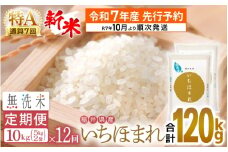 【新米・先行予約】令和7年産 無洗米 定期便 12回 いちほまれ 10kg × 12回（計120kg）特A 通算7回！福井県産【お米 コメ kome 12ヶ月連続 計120キロ 精米 白米 便利 時短】【令和7年10月より順次発送予定】 [e27-q002]