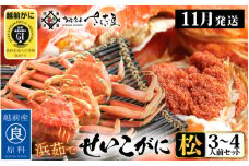 浜茹で 越前せいこがに≪松セット≫3～4人前 かに酢 食べ方しおり スプーン付き【雌 ズワイガニ】【カニ 越前ガニ セコガニ カニみそ】【小サイズ：110～170g × 6杯（※茹で前重量）】【11月発送分】希望日指定可 備考欄に希望日をご記入ください [e04-x010_11c]