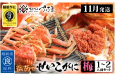 [e04-x012_11b] 浜茹で 越前せいこがに≪梅セット≫1～2人前 かに酢 食べ方しおり スプーン付き【雌 ズワイガニ】【カニ 越前ガニ セコガニ カニみそ】【小サイズ：110～170g × 2杯（※茹で前重量）】【11月発送分】希望日指定可 備考欄に希望日をご記入ください