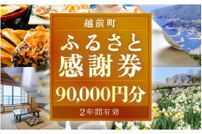 [e05-p001] 越前町ふるさと感謝券（90,000円分）【宿泊 レジャー アウトドア BBQ 体験型 宿泊券 福井県】