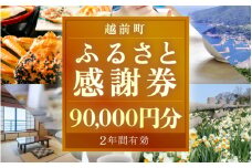 [e05-p001] 越前町ふるさと感謝券（90,000円分）【宿泊 レジャー アウトドア BBQ 体験型 宿泊券 福井県】