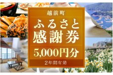 [e05-a001] 越前町ふるさと感謝券（5,000円分）【宿泊 レジャー アウトドア BBQ 体験型 宿泊券 福井県】