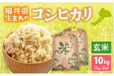 コシヒカリ 10kg 令和6年 福井県産【玄米】【お米 こしひかり 10キロ 人気品種】 [e30-a080]