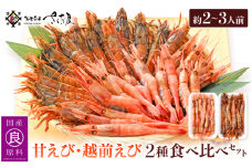 新鮮！えび 2種 食べ比べ セット（甘えび 越前えび）約2～3人前【少量 小分け お試し 冷凍 おつまみ お刺身 越前エビ がさえび ガマエビ ガラエビ】 [e04-a064]