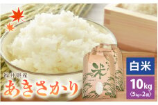 あきさかり 10kg 令和6年 福井県産 コシヒカリ系統品種【白米】【お米 アキサカリ 10キロ】 [e30-a075]