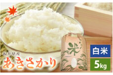 あきさかり 5kg 令和6年 福井県産 コシヒカリ系統品種【白米】【お米 アキサカリ 5キロ】 [e30-a073]