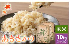 あきさかり 10kg 令和6年 福井県産 コシヒカリ系統品種【玄米】【お米 アキサカリ 10キロ】 [e30-a074]