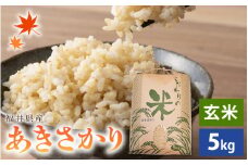 あきさかり 5kg 令和6年 福井県産 コシヒカリ系統品種【玄米】【お米 アキサカリ 5キロ】 [e30-a072]
