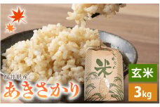 あきさかり 3kg 令和6年 福井県産 コシヒカリ系統品種【玄米】【お米 アキサカリ 3キロ】 [e30-a070]