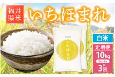 【先行予約】ブランド米 定期便≪3ヶ月連続お届け≫いちほまれ 10kg × 3回 令和6年 福井県産【白米】【お米 計30キロ】【2024年12月より順次発送】 [e30-h002]