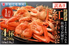 【訳あり】≪浜茹で≫越前産 紅ずわいがに 約700g × 4杯 食べ方しおり付【紅ズワイガニ カニ かに 蟹 姿 ボイル 冷蔵 福井県】【1月発送分】希望日指定不可 [e14-x002_01] 