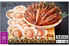 海鮮 BBQ おつまみセット「越前えび & 片貝ほたて」約4～5人前（越前えび500g 片貝ほたて10枚）【冷凍 おつまみ ホタテ ガサエビ ガラエビ がまえび】 [e04-a063]