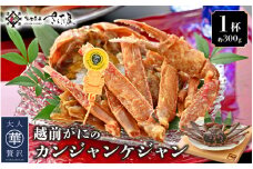 【先行予約】越前がに カンジャンケジャン 1杯（約300g） 韓国海鮮料理！越前がにを自社オリジナルの特製調味液に漬け込みました♪【韓国 海鮮 ケジャン かに カニ 蟹 お取り寄せ グルメ 冷凍】【2025年2月上旬より順次発送】 [e04-c014]
