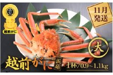 越前がに本場の越前町からお届け！ 越前がに 浜茹で 大サイズ（生で0.9～1.1kg） × 1杯【かに カニ 蟹】【福井県 越前町 雄 ズワイガニ ボイル 冷蔵 越前ガニ 越前かに 越前カニ ずわいがに ずわい蟹 かに カニ 蟹】【11月発送分】希望日指定可 備考欄に希望日をご記入ください [e43-x003_11]