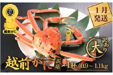  【訳あり】越前がに本場の越前町からお届け！ 越前がに 浜茹で 大サイズ（生で0.9～1.1kg） × 1杯【かに カニ 蟹】【福井県 越前町 雄 ズワイガニ ボイル 冷蔵 越前ガニ 越前かに 越前カニ ずわいがに ずわい蟹 かに カニ 蟹】【1月発送分】希望日指定可 備考欄に希望日をご記入ください [e43-x002_01]