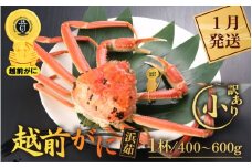  【訳あり】越前がに本場の越前町からお届け！ 越前がに 浜茹で 小サイズ（生で400～600g） × 1杯【かに カニ 蟹】【福井県 越前町 雄 ズワイガニ ボイル 冷蔵 越前ガニ 越前かに 越前カニ ずわいがに ずわい蟹 かに カニ 蟹】【1月発送分】希望日指定可 備考欄に希望日をご記入ください [e43-x001_01]